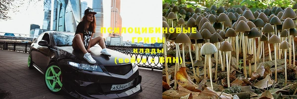 спайс Алзамай
