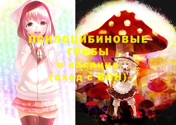 метадон Алексин