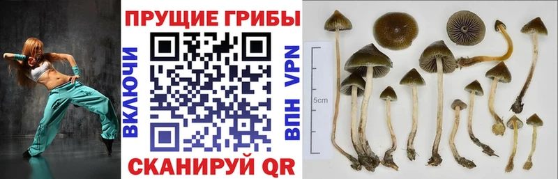 Галлюциногенные грибы ЛСД  Урай 