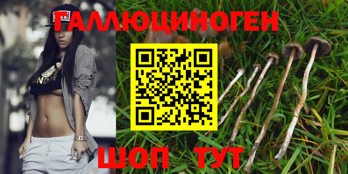 Галлюциногенные грибы Magic Shrooms Урай