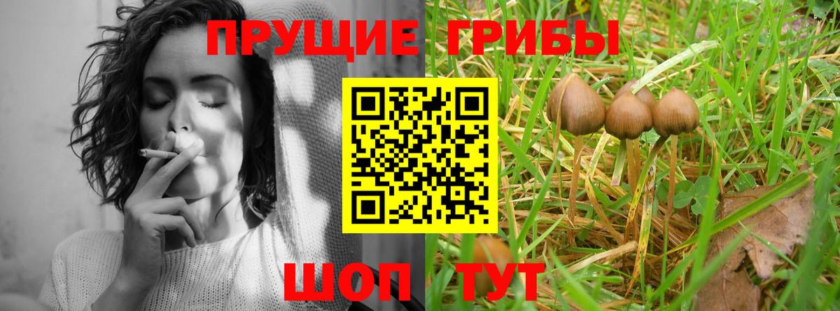 Галлюциногенные грибы Psilocybine cubensis  Вход с VPN  Урай  Псилоцибиновые грибы MAGIC MUSHROOMS 